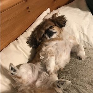 Meet your Posher, Ryan